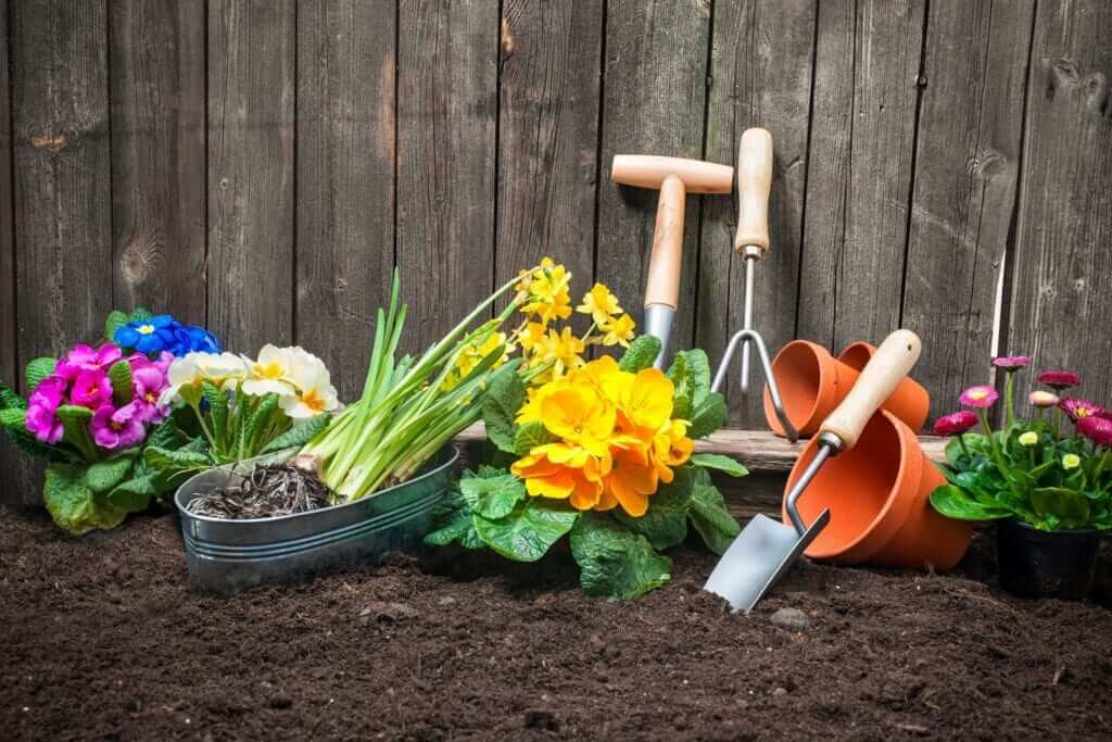 Lifetime Garden Beds